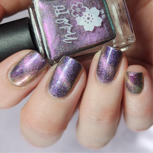 Limited Edition: NYE Nova