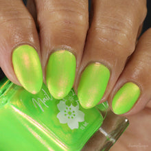 Neons After Dark: Limelight