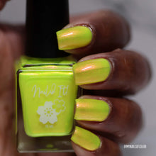 Neons After Dark: Yellow Cab Co.