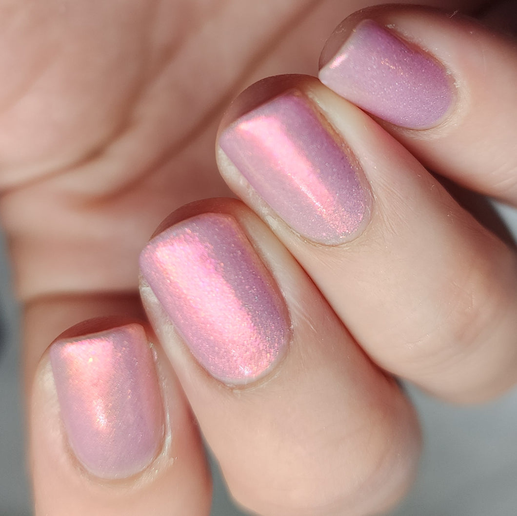 Limited Edition: Pink Champagne