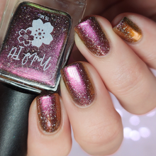 Limited Edition: Year Of The Horse