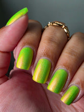 Neons After Dark: Limelight