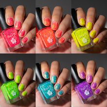 Poolside Prelude Collection