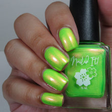 Neons After Dark: Limelight