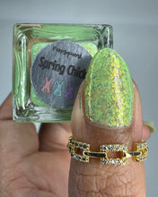 Peep-squeak Collection: Spring Chick