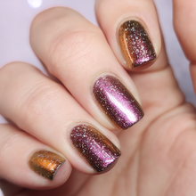 Limited Edition: Year Of The Horse