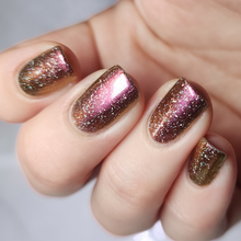 Limited Edition: Year Of The Horse