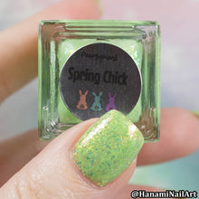 Peep-squeak Collection: Spring Chick