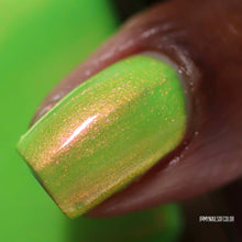Neons After Dark: Limelight