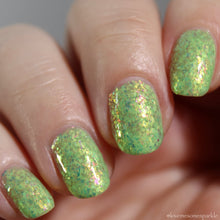 Peep-squeak Collection: Spring Chick