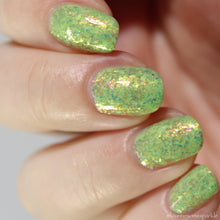 Peep-squeak Collection: Spring Chick