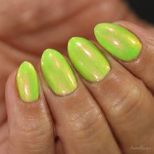 Neons After Dark: Limelight
