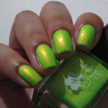 Neons After Dark: Limelight