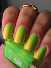 Neons After Dark: Limelight