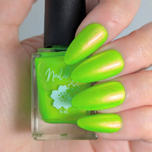 Neons After Dark: Limelight