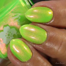 Neons After Dark: Limelight