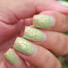 Peep-squeak Collection: Spring Chick