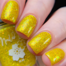 Taste The Rainbow: My Main Squeeze