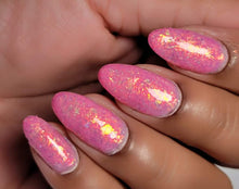 Totoro: Chasing Chibi