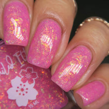 Totoro: Chasing Chibi