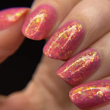 Totoro: Chasing Chibi