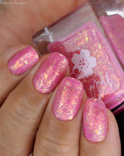 Totoro: Chasing Chibi