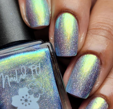 Book Club: The Rainbow Fish