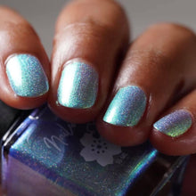 Book Club: The Rainbow Fish