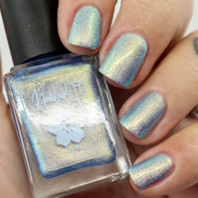 Book Club: The Rainbow Fish