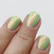 Book Club: The Giving Tree