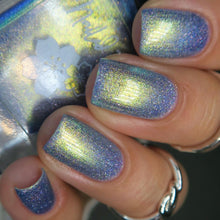 Book Club: The Rainbow Fish